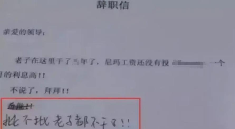|“有点礼貌,但不多”,00后反骨式辞职信走红,老板看后怀疑人生