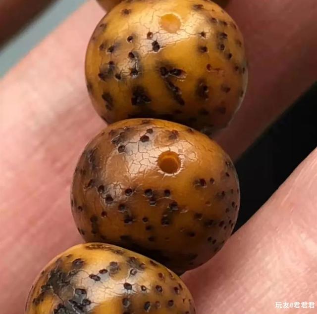 核桃|大干手盘星月，9年！这包浆谁不服？