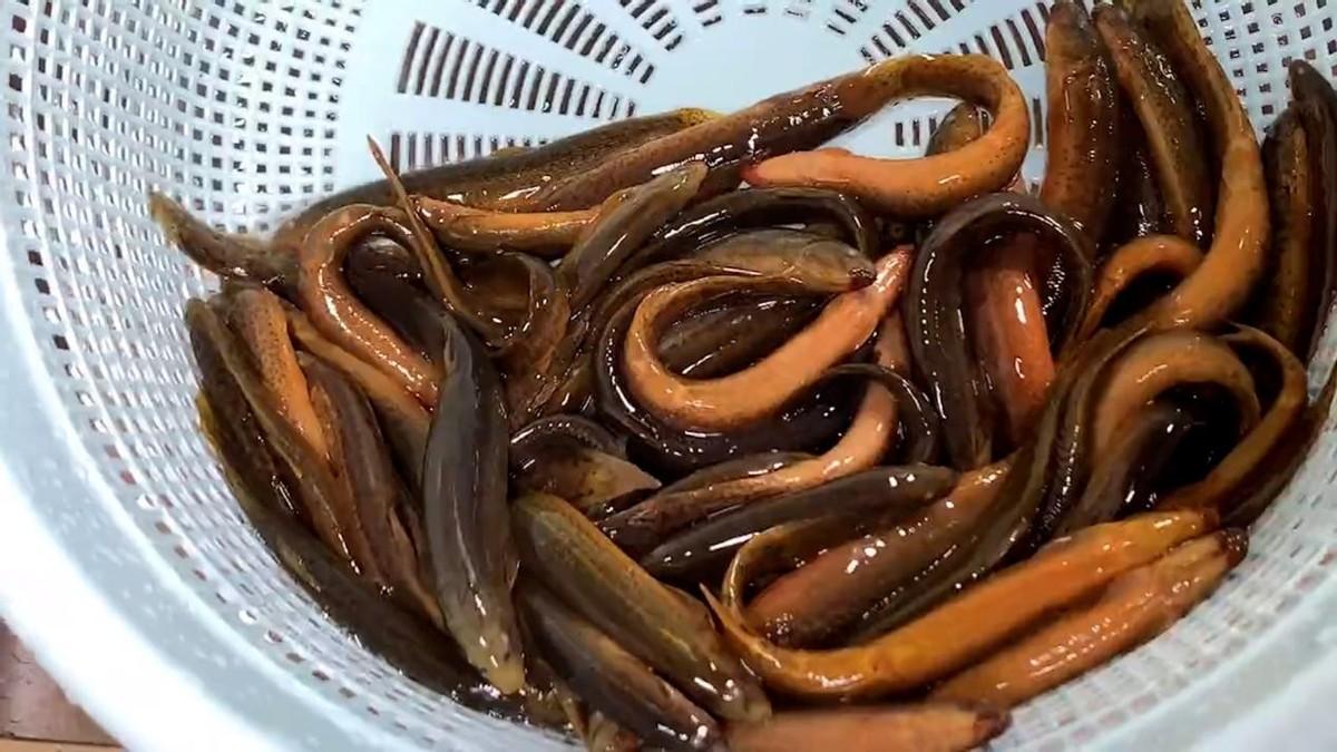 肝脏|“补肾冠军”竟是它,不是生蚝韭菜,每周吃2次,补肾固精有干劲