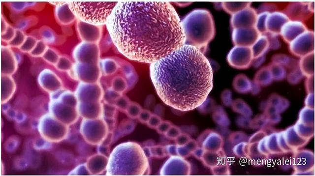 夫妻之间，为了伴侣的健康，尽量别亲吻这3个部位，早知道早好