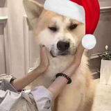 依琴妹妹呐