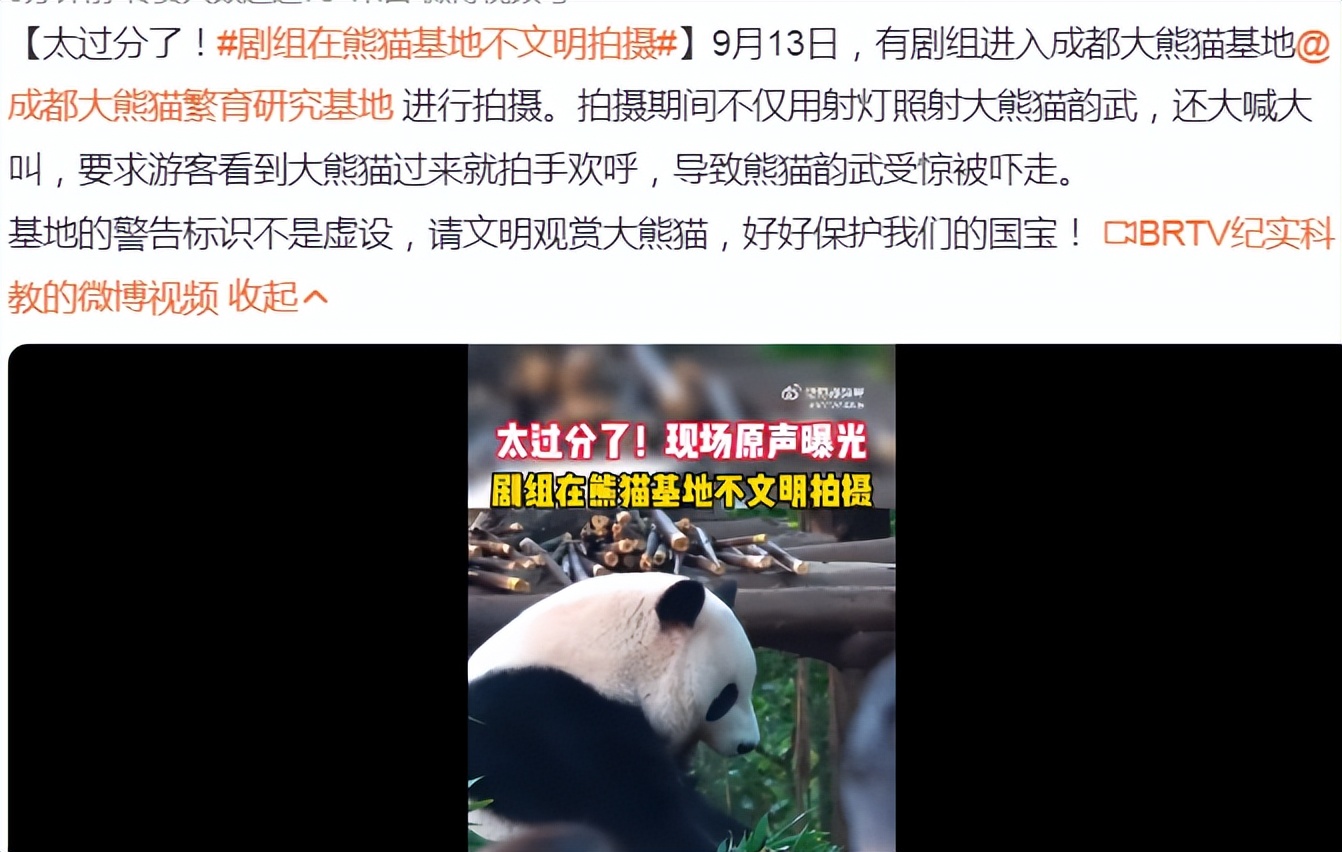曝剧组熊猫基地违规拍摄,频吼叫不听劝,现场原声曝光,官方回应