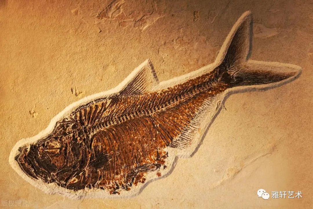 文玩圈里的“禁忌文玩”，不管多有钱，都不能碰，否则只能牢里见