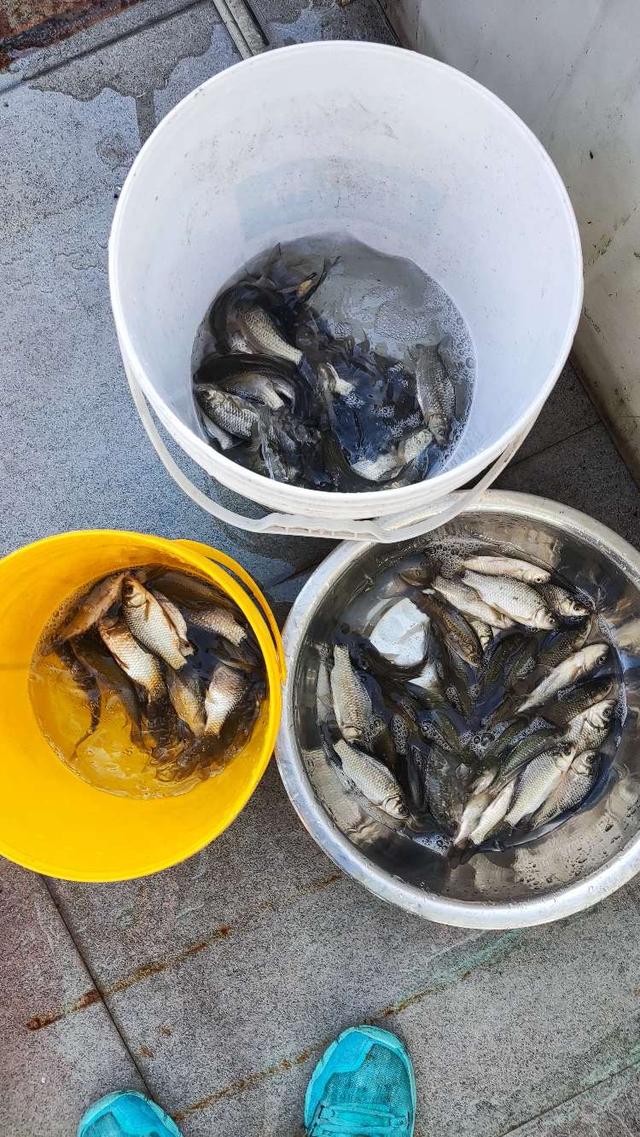 路亚竿|【钓鱼之家虾粉】冬去春来又到钓鱼季