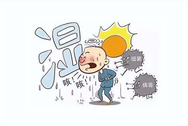 想要“无湿一身轻”,这几个强力祛湿药,帮你吸干五脏湿气