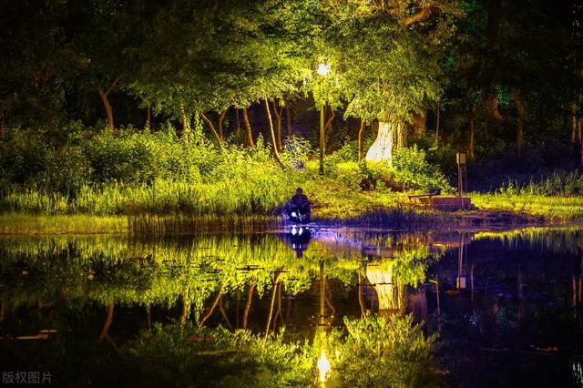 三伏天钓鲫鱼没口?到底什么原因?调整这几点,竿竿上大板鲫