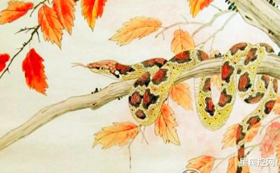 生肖|今生与贵人相伴，每个时期都顺顺利利的生肖，老来有福气