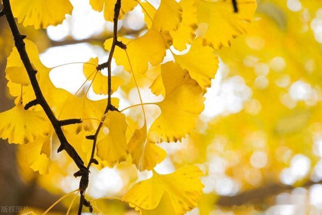 宗筋ED,温阳重要,但补阳更重要!这个方法可以帮你找回丢失精元