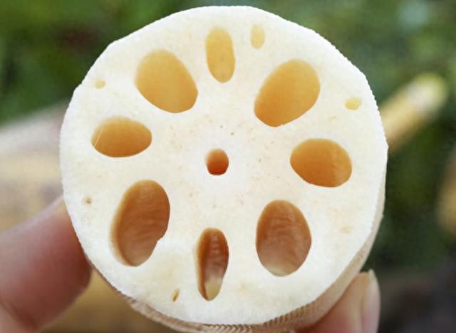 血脂高的人要远离豆腐？医生：不止豆腐，这3种素食也需要少吃