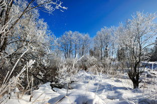 |探访冬天里的白色童话世界——三个国内必去的看雪景点