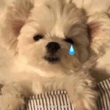明中搞笑
