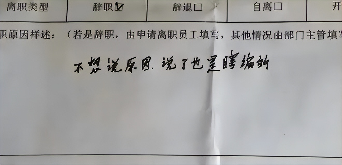 职场故事|00后低情商辞职信,理由句句戳中要害,老板看后默默签字:惹不起