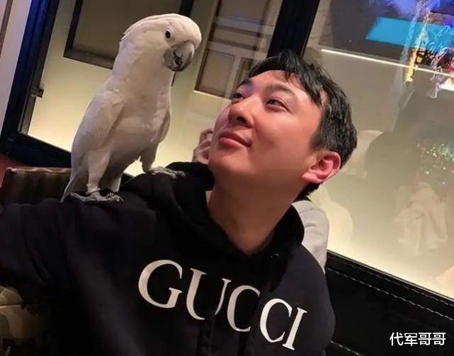 王思聪|王思聪殴打路人被通报,或将被行政拘留,曾在韩国街头殴打女人