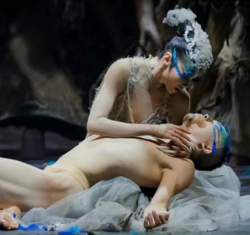 孔雀舞|杨丽萍孔雀舞被质疑少儿不宜,男舞者太暴露,男女抱一起画面不雅