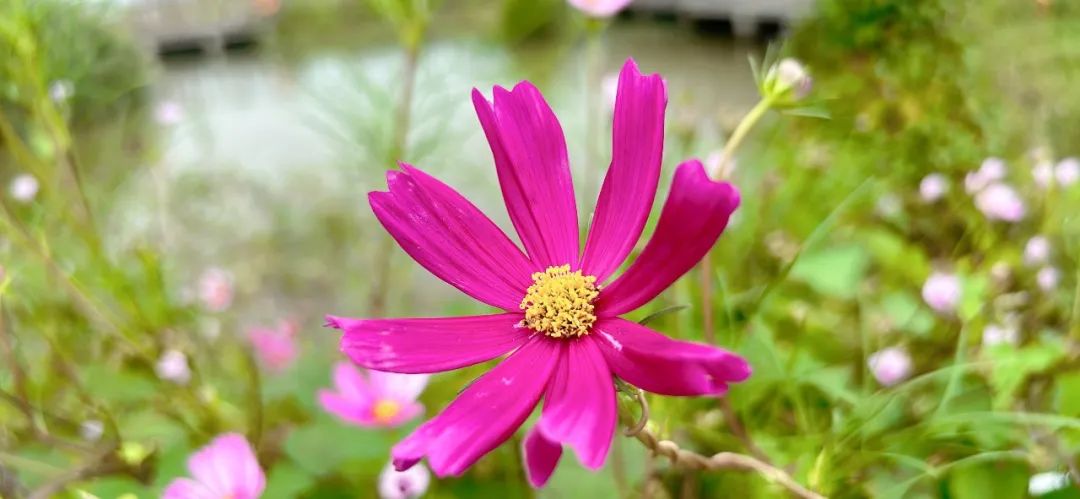 适合当领导的女性，都有这5个特质！