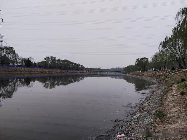 水库|钓鱼日记——2023年4月9日（亿城大学对岸和出水口夜钓）