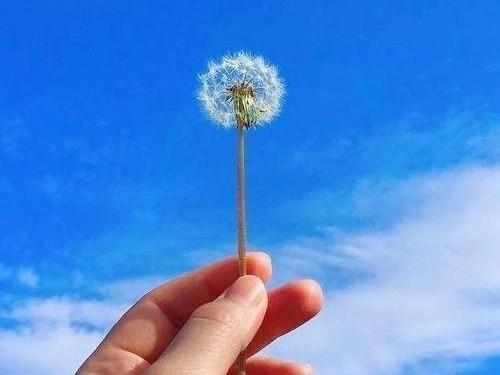 |4，50岁的你，中年究竟有多难？