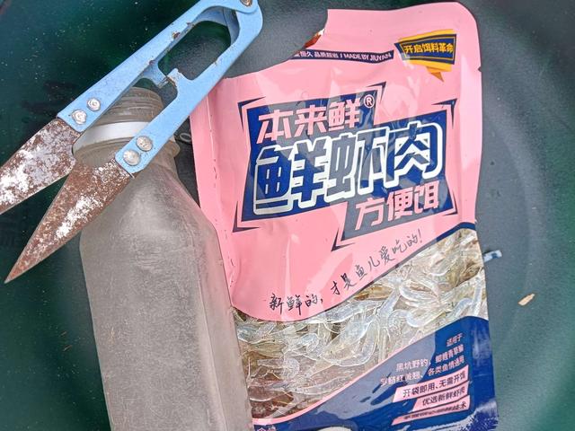 饵料|2023第一钓，面食配红虫，上鱼不再愁