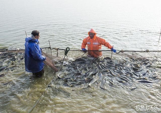 海钓|钓鱼比下网还厉害，一天能钓5万公斤！“专家”对垂钓的定性激怒钓友