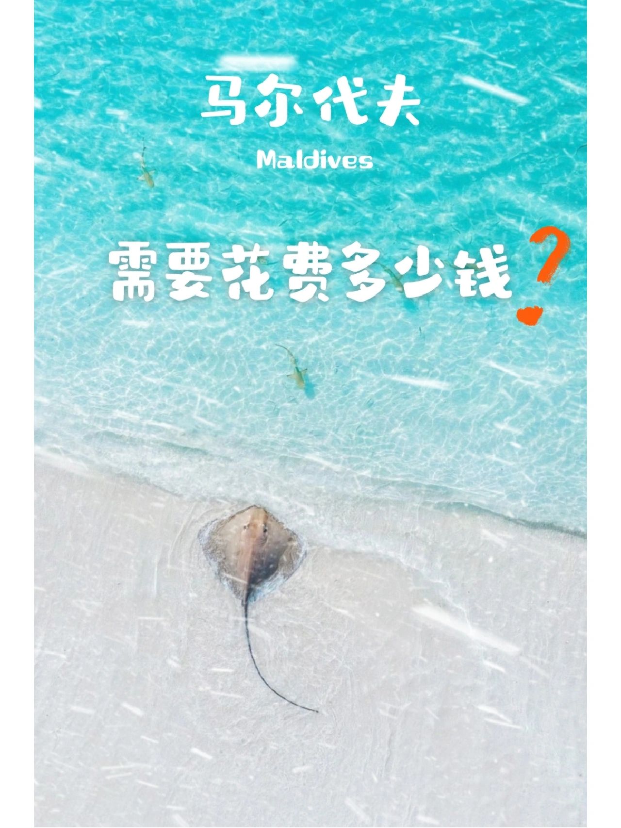 浮潜|去马尔代夫大概需要花费多少