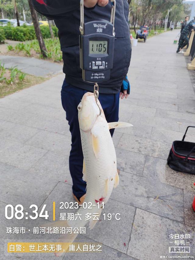 |浪急风高，大鱼偶得，罗非应接不暇