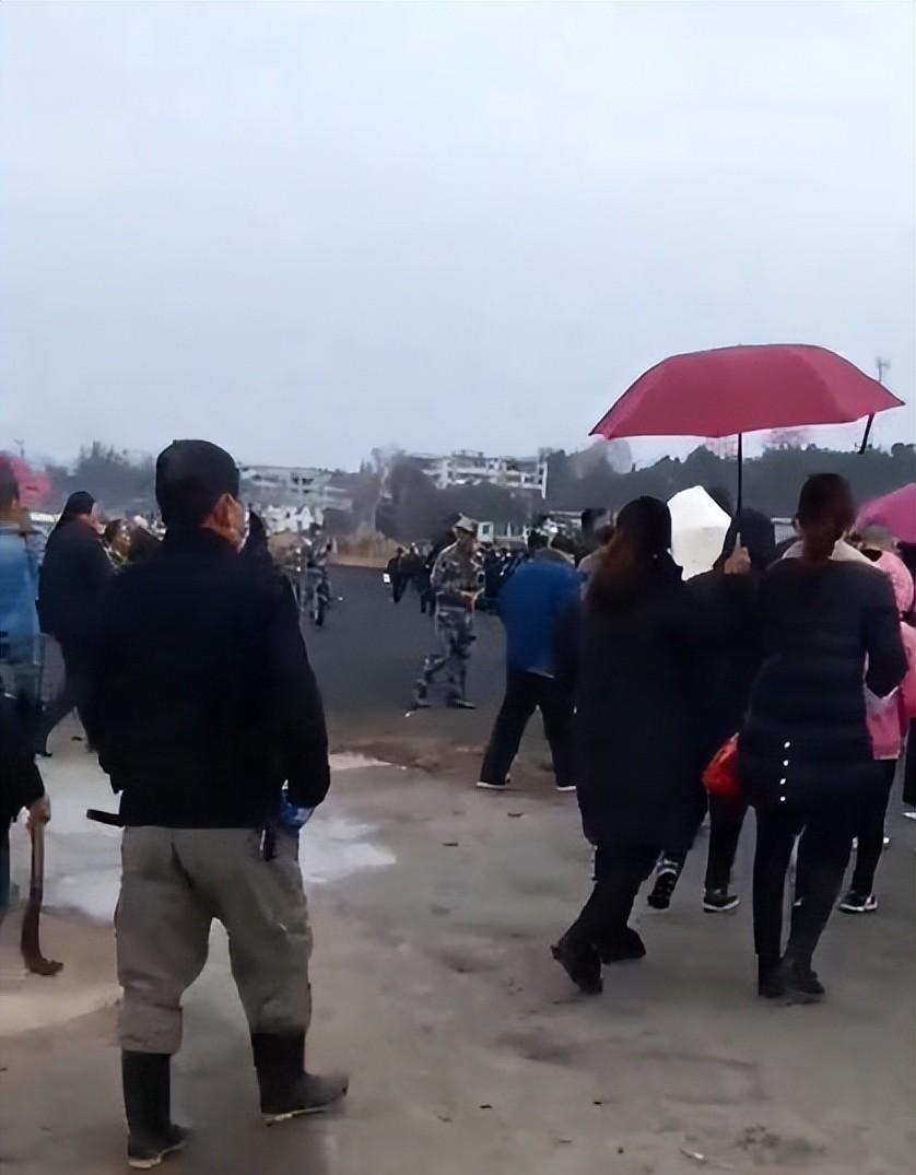 于事无补,80多天后上千人上山搜寻胡鑫宇,已经做过最佳时机了