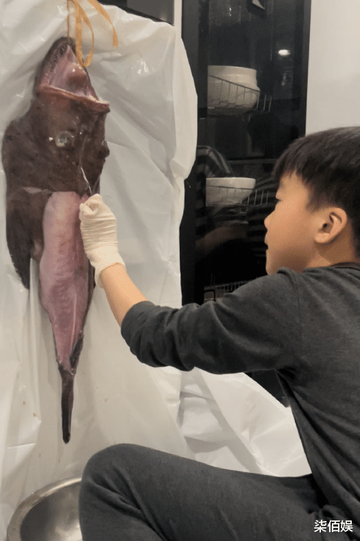 吴京|吴京老婆晒母子温馨合照，8岁吴所谓用身体为妈妈遮阳，身高瞩目