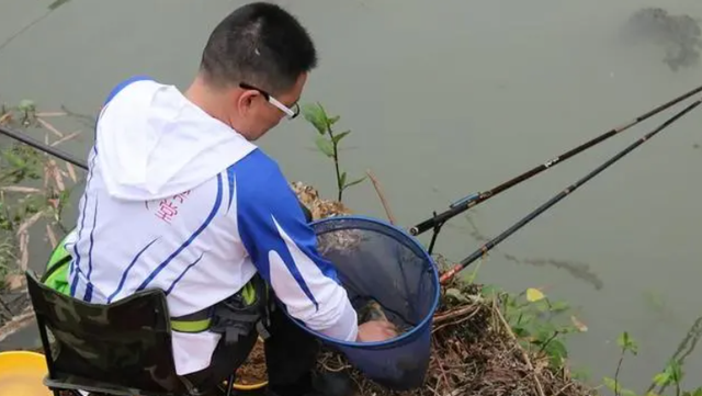 钓鲢鳙用什么饵料？我推荐这6款，经得住考验的经典