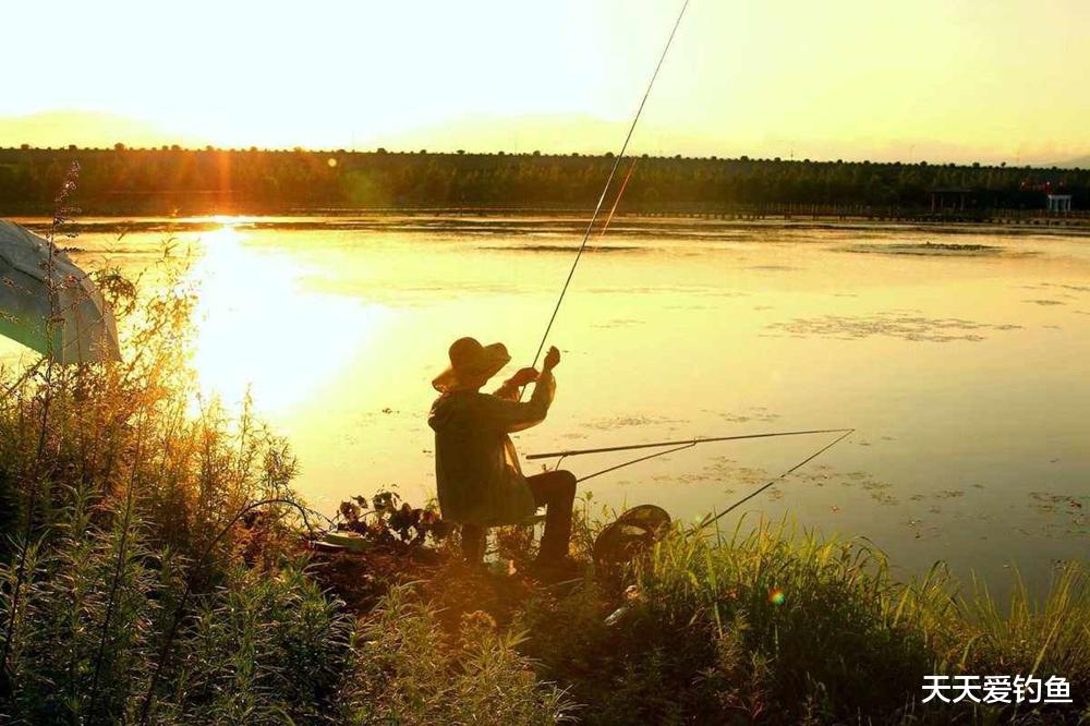 秋季野钓,何时可以钓边边?记住3个要点,水边就能钓大鱼