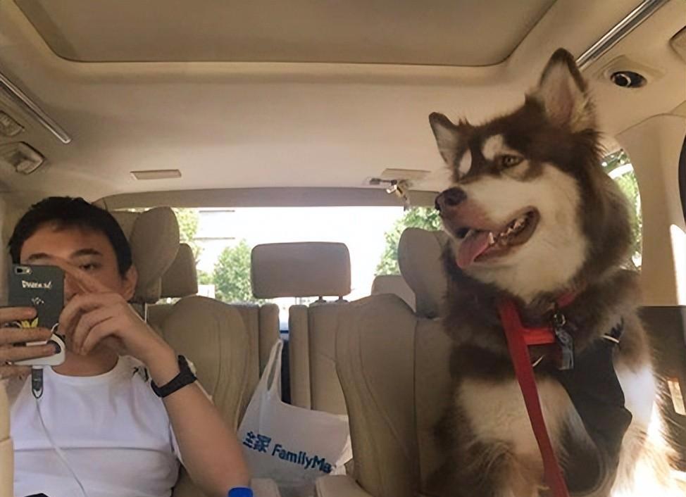 王心凌|王思聪,这就是你的下场