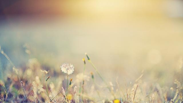 中国电影|不要去讨好每一个人，你是值得被爱的......