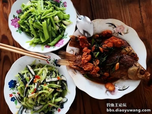 |野河板鲫最喜人