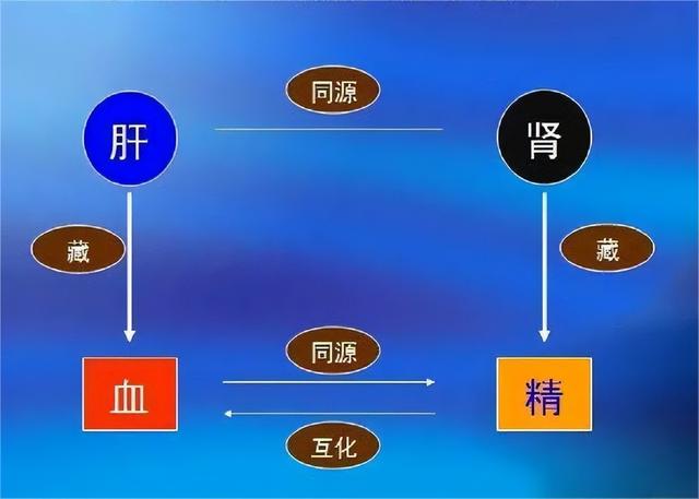 乌鸡白凤丸不仅是女人的大补药，还是男人“早谢”“某痿”特效药