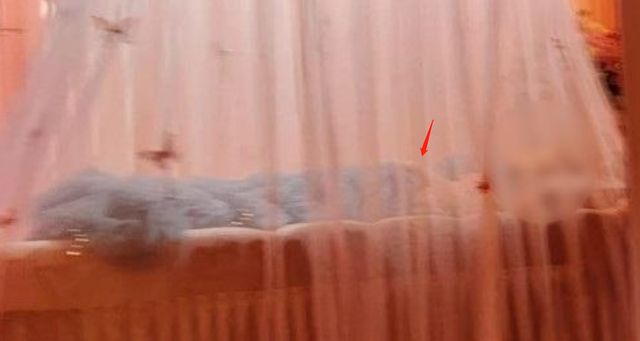 蔡天凤遗体修复成功！脸色红润头发都一样，方媛低调悼念坐主家席