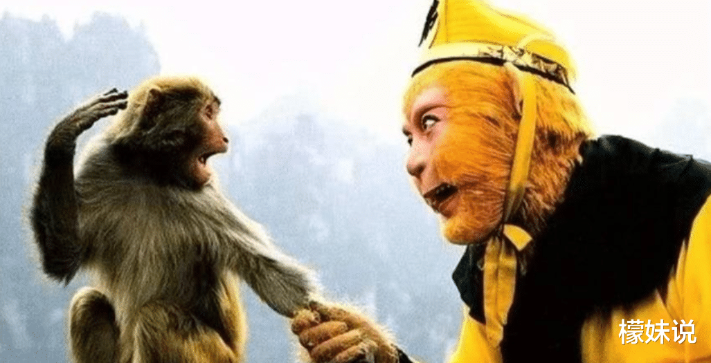 六小龄童|六小龄童，终究为自己的“贪婪”付出了代价！！