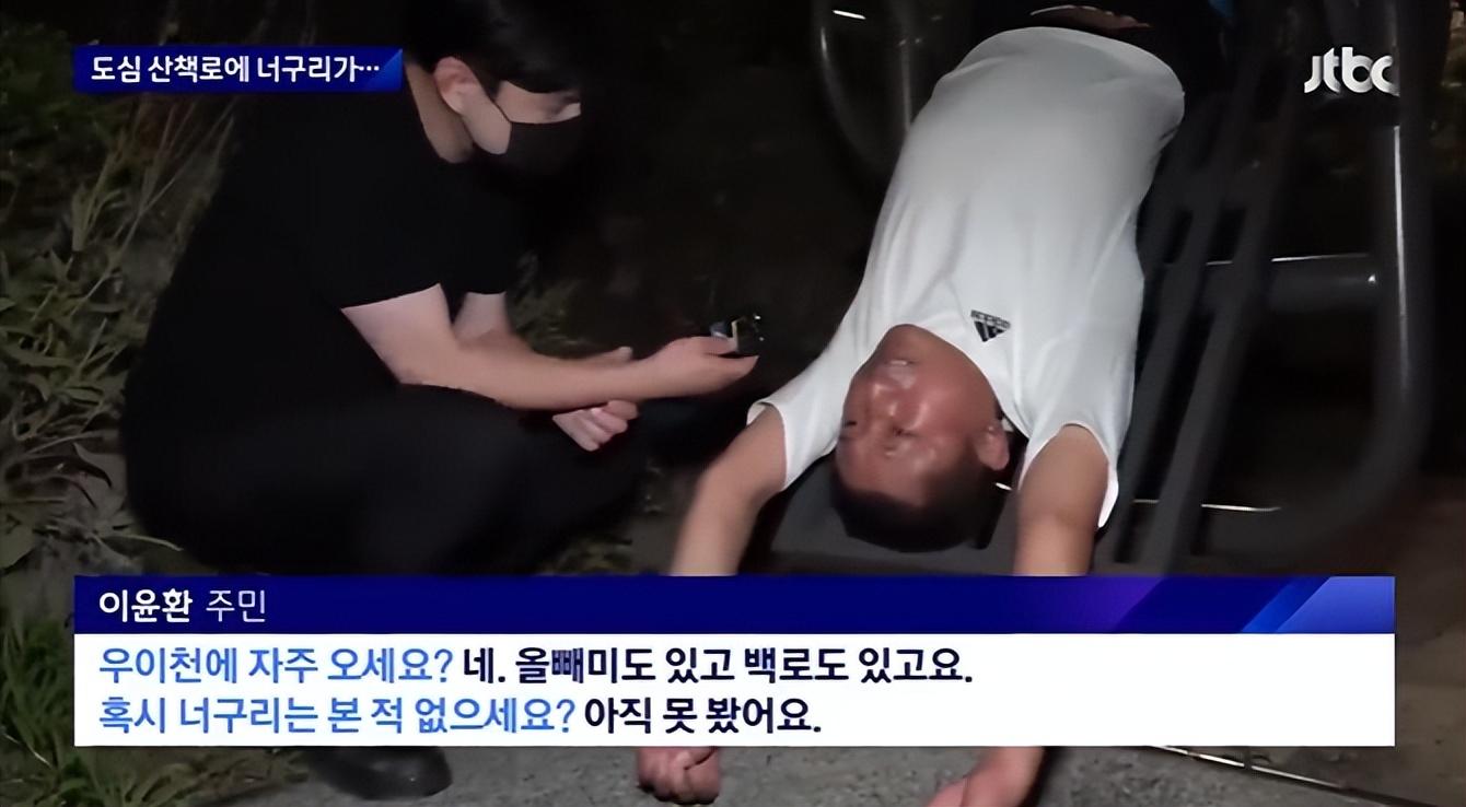 快乐|不结婚的韩国人,都在玩命健身