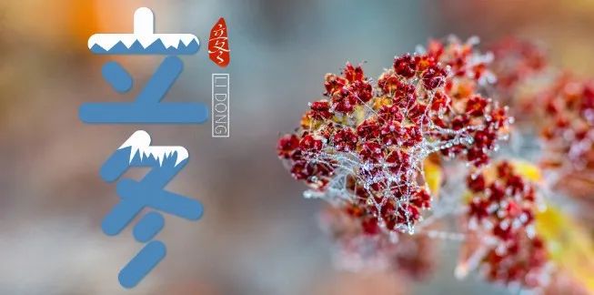 立冬|“立冬吃三宝，不把医生找”“三宝”美食，驱寒保暖，老少皆宜