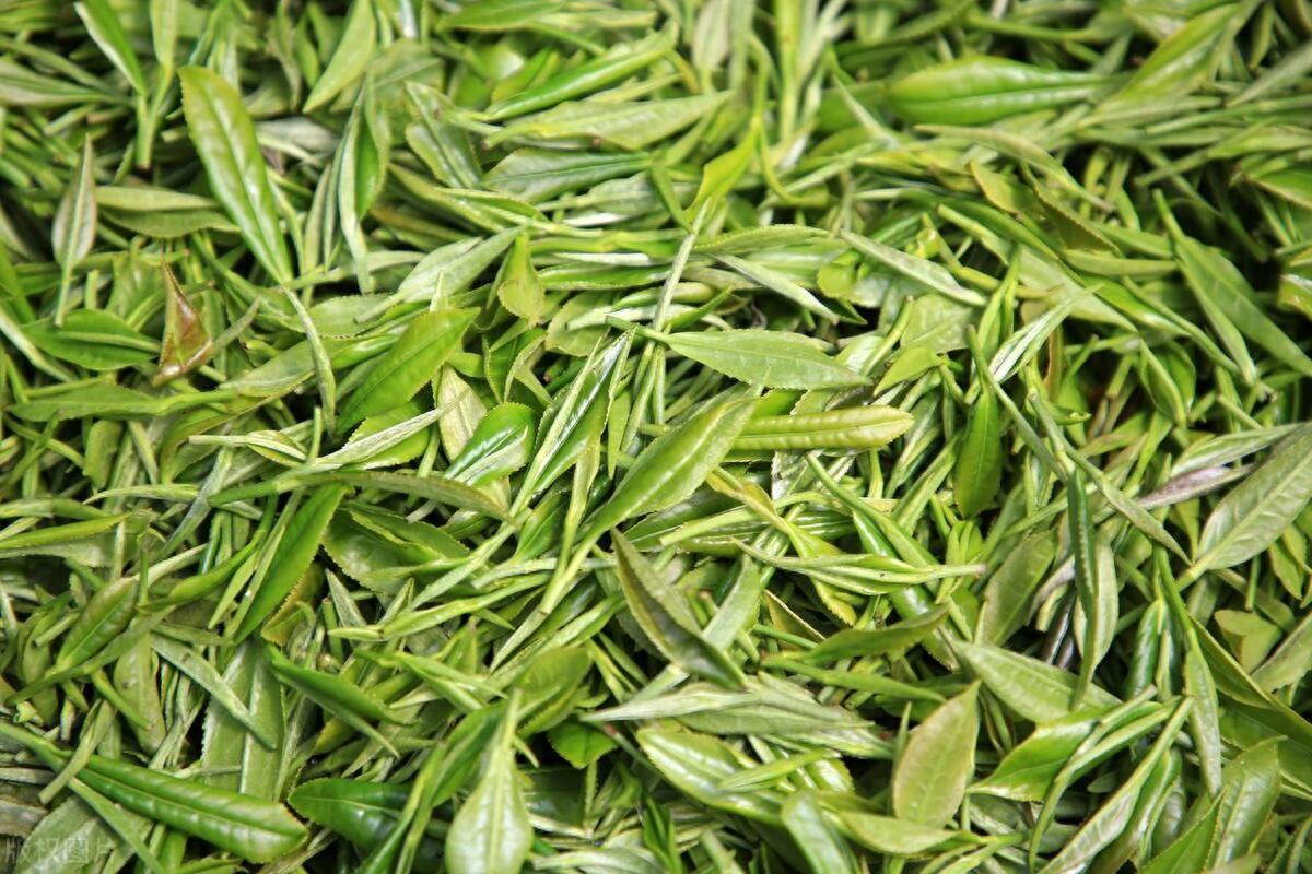 茶叶|到底什么样的茶叶才是好茶？过期的茶叶还能喝吗？今天一次搞清楚