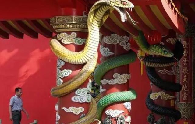 北戴河|世界上唯一的蛇庙，寺内毒蛇泛滥，四处游走，为何香客仍络绎不绝