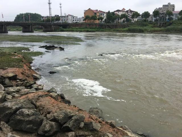 饵料|都说神仙难钓午时鱼,其实找对方法,依然可以开启连杆模式!