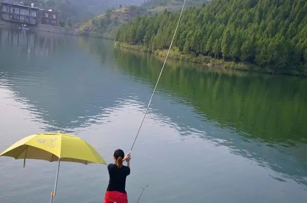 拥有这10个钓鱼好习惯,你的渔获每次都会比作伴出钓的钓友多