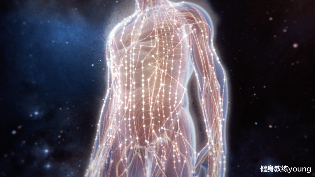 身体还很年轻的8个表现，中3个说明你身体还很年轻