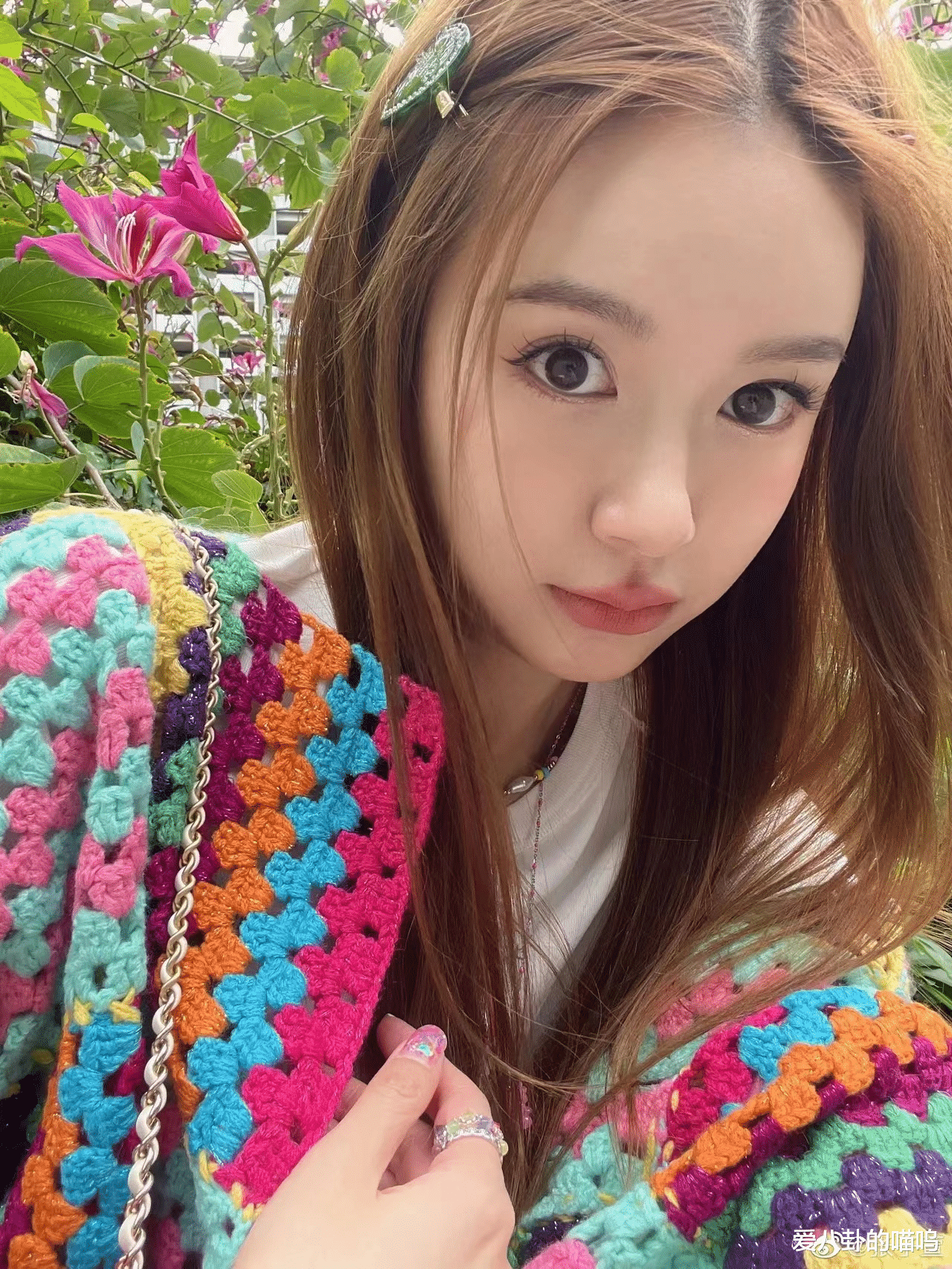 陈赫|七年前陈赫与许婧离婚,娶了张子萱被骂上热搜,如今三人都是赢家