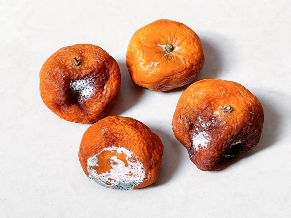 水果|医生打死也不吃的两种“水果”,吃了就是没病找病,很多人天天吃