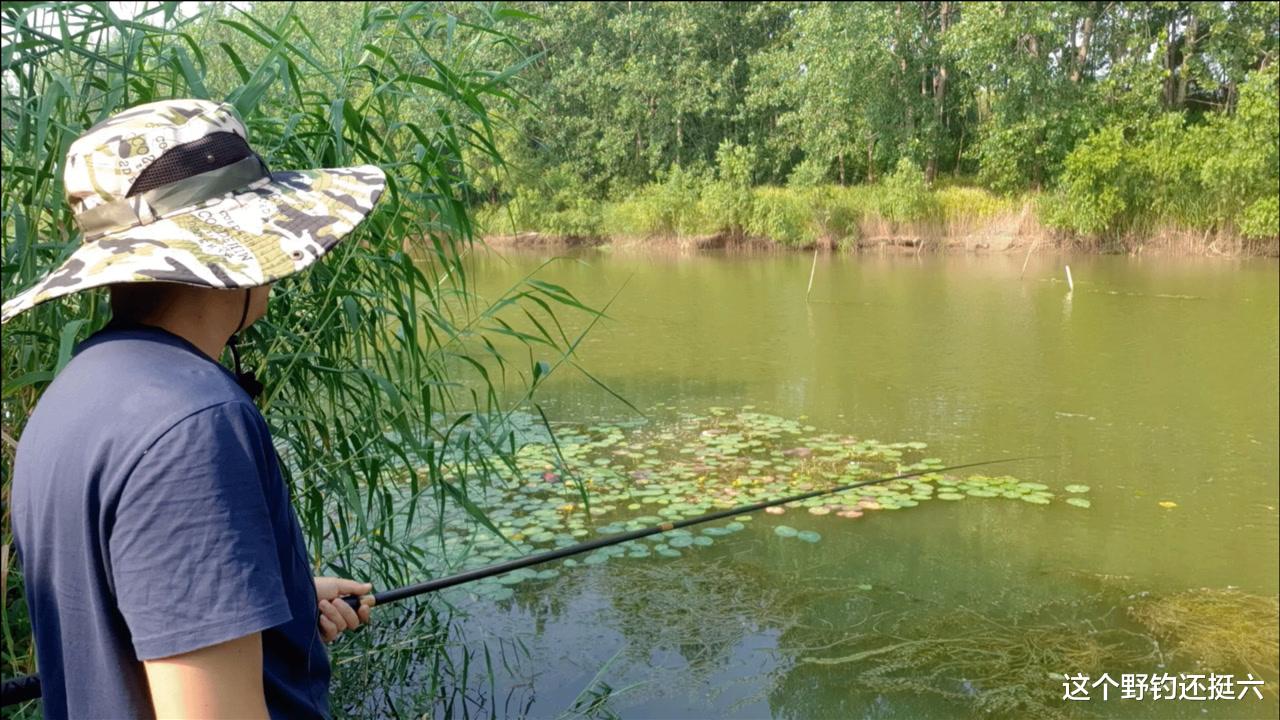 你会经常抱怨资源差吗？钓点有鱼就是好资源，找鱼方面你尽力了吗