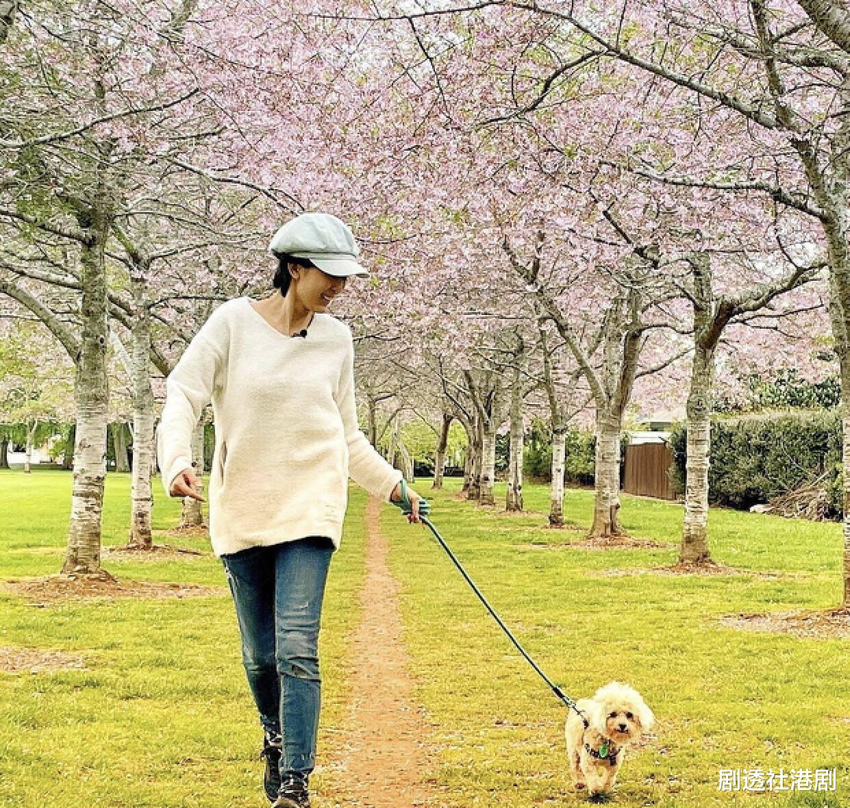 唐宁|TVB前女星近况曝光！移居新西兰做KOL，农场种菜实现自给自足