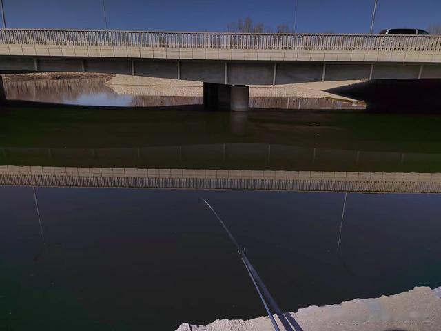 鲫鱼|钓鱼日记——2023年3月3日（西马坊）