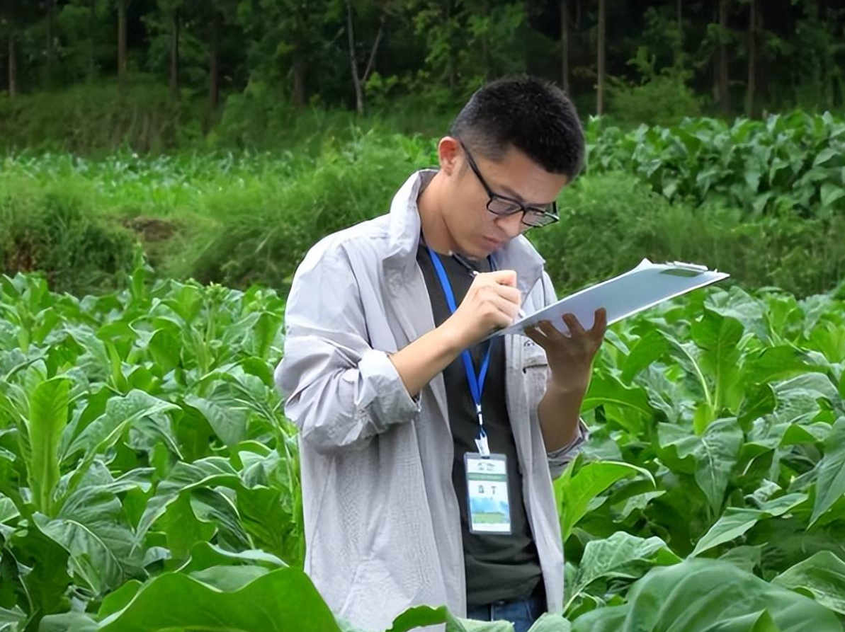 中烟2023招聘最新公告,部分毕业生出路被堵死,世袭制迎来尾声