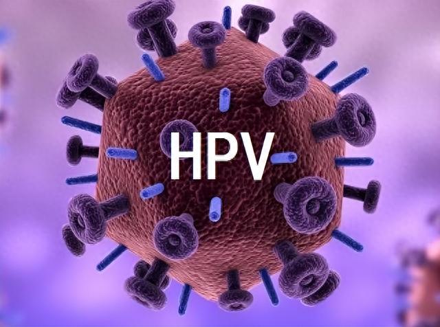 体检报告出现4种情况，最好到医院进一步检查下，可能是大病提示