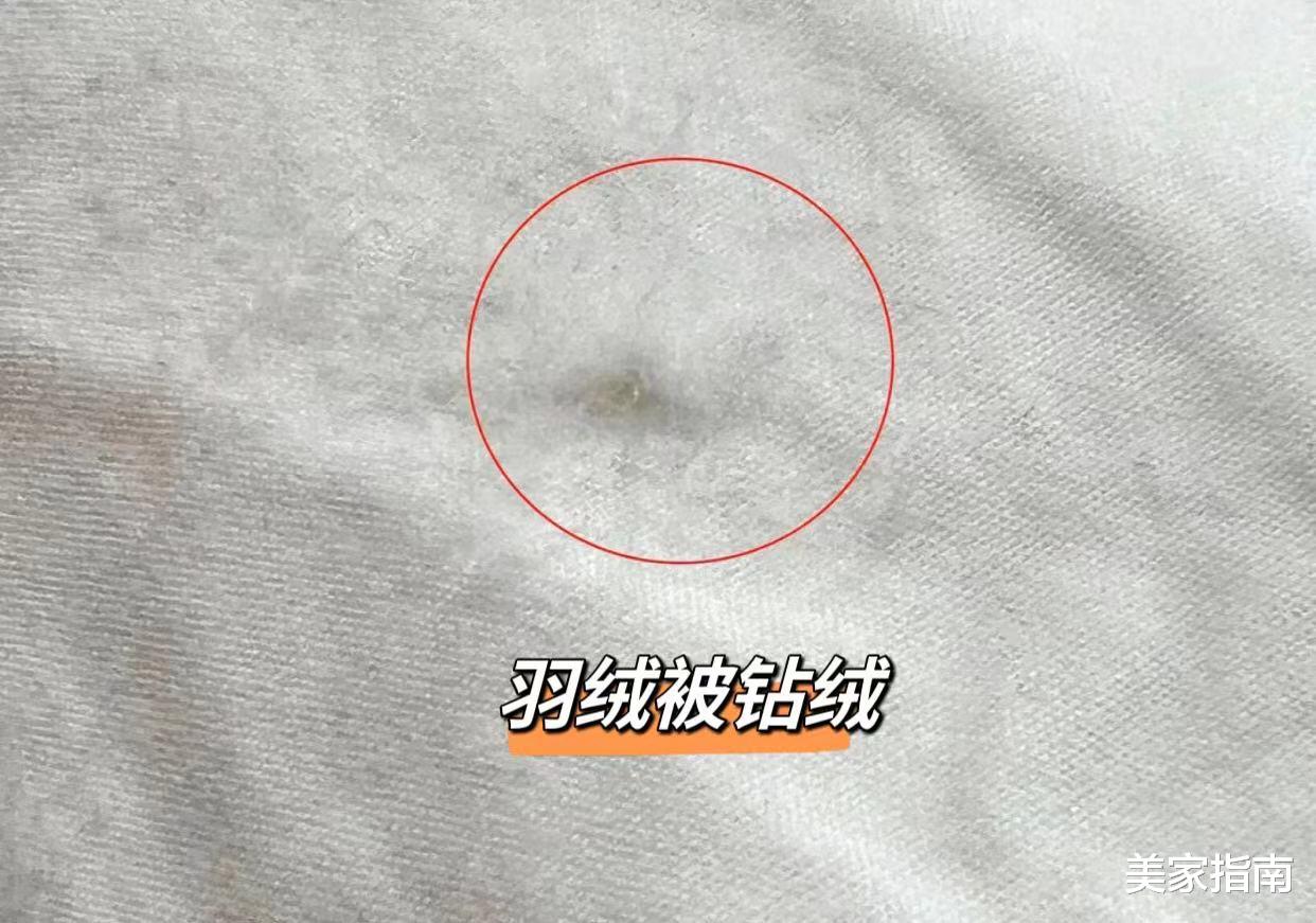 换了4次被子,我终于明白了200元被子和1000元多被子的区别
